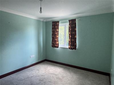 Picture 15